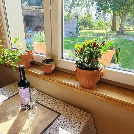 Апартаменты Joy's apartman Molnári