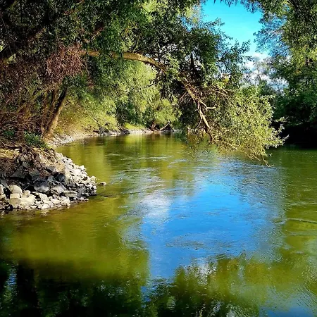 Joy's Διαμέρισμα Molnari