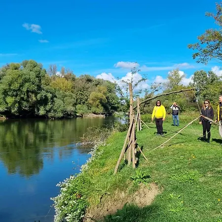 Joy's apartman Molnári *