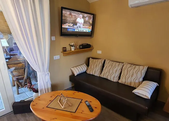 Апартаменты Joy's apartman Molnári