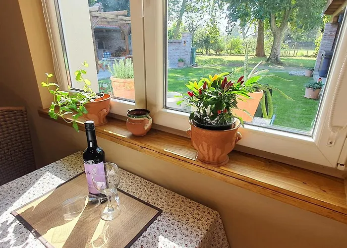 Апартаменты Joy's apartman Molnári