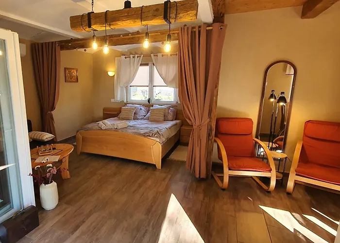 Апартаменты Joy's apartman Molnári