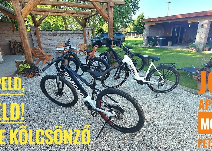 Апартаменты Joy's apartman Molnári Molnári