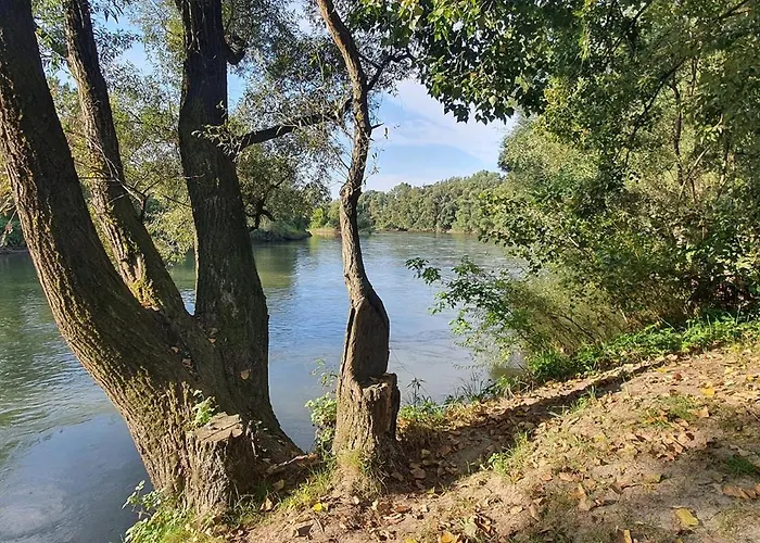 Апартаменты Joy's apartman Molnári *