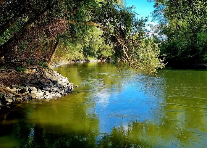 Joy's apartman Molnári Апартаменты Molnári