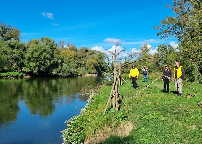 Joy's apartman Molnári *